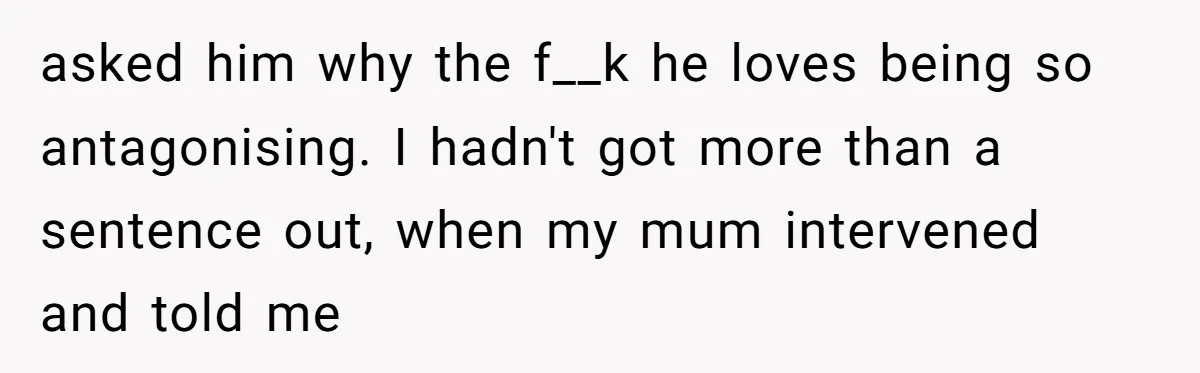 Family Tensions Explode After Brother Insists on Using Slurs in the Home asked him why the f__k he loves being so antagonising. I hadn't got more than a sentence out, when my mum intervened and told me