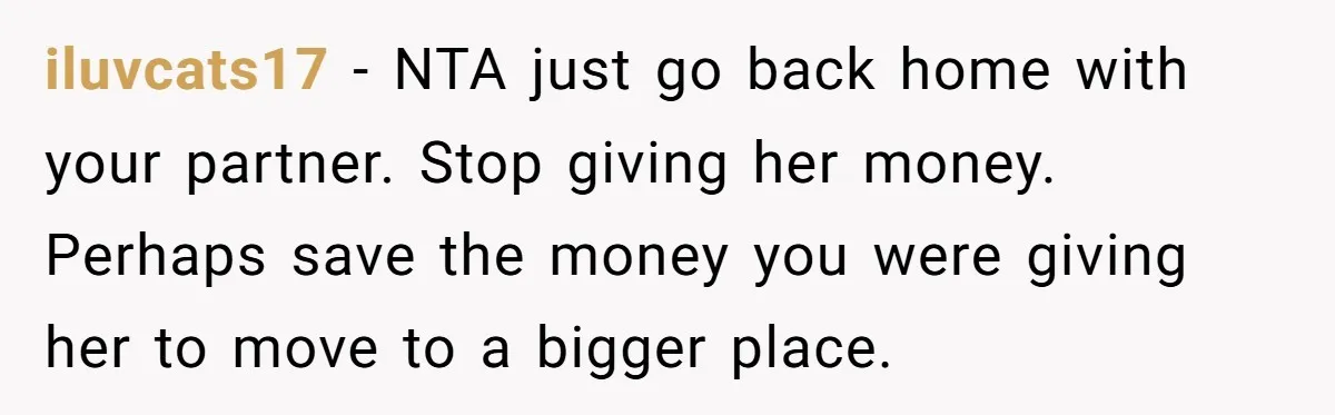 Family Tensions Explode After Brother Insists on Using Slurs in the Home iluvcats17 − NTA just go back home with your partner. Stop giving her money. Perhaps save the money you were giving her to move to a bigger place.