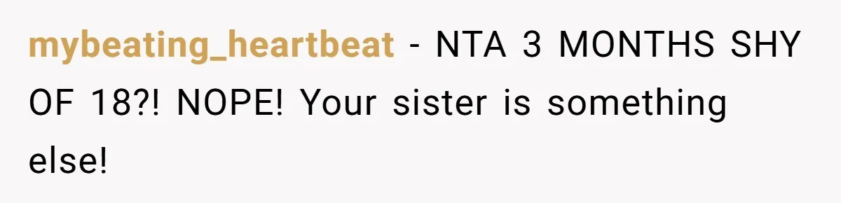 mybeating_heartbeat − NTA 3 MONTHS SHY OF 18?! NOPE! Your sister is something else!