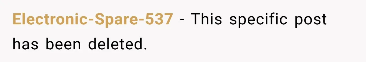 Electronic-Spare-537 − This specific post has been deleted.