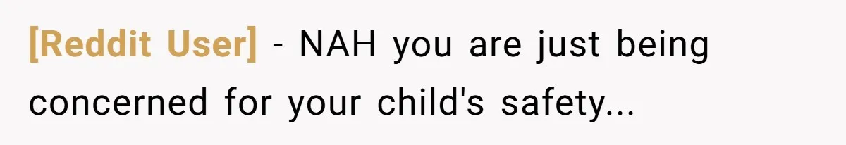 [Reddit User] − NAH you are just being concerned for your child's safety...
