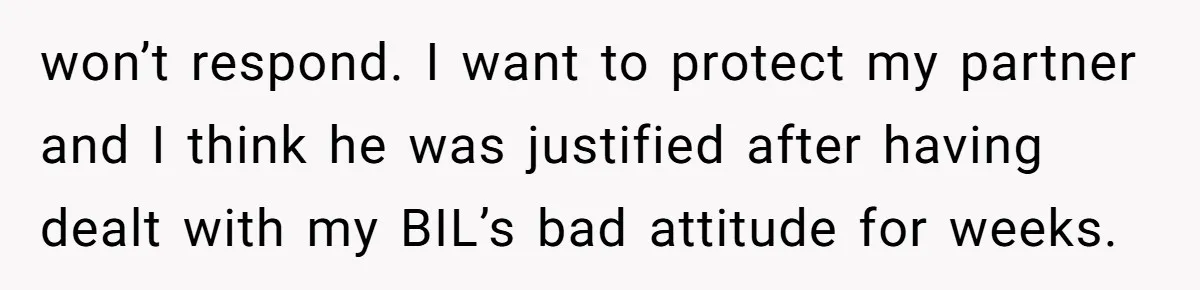 won’t respond. I want to protect my partner and I think he was justified after having dealt with my BIL’s bad attitude for weeks.