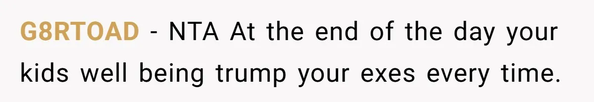 A Father Takes a Stand for His Children’s Health After Concerning Visitation Trends G8RTOAD − NTA At the end of the day your kids well being trump your exes every time.