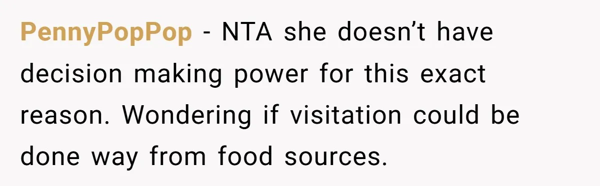 A Father Takes a Stand for His Children’s Health After Concerning Visitation Trends PennyPopPop − NTA she doesn’t have decision making power for this exact reason. Wondering if visitation could be done way from food sources.