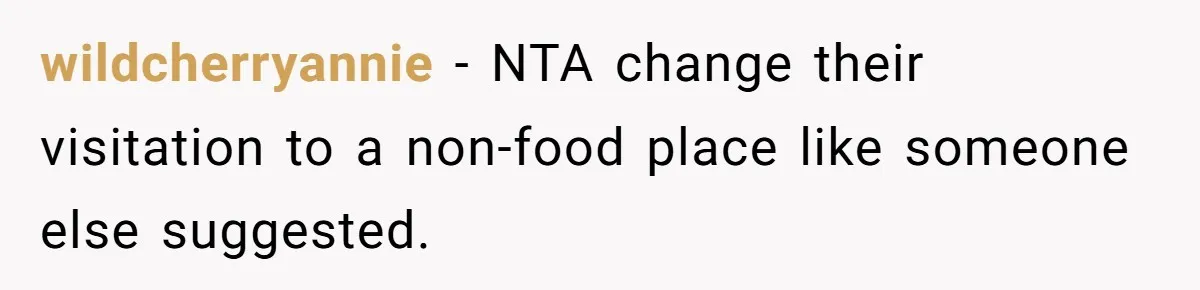 A Father Takes a Stand for His Children’s Health After Concerning Visitation Trends wildcherryannie − NTA change their visitation to a non-food place like someone else suggested.