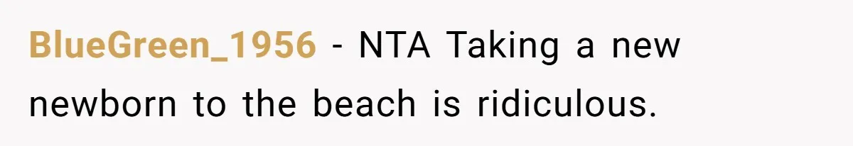 Man Yells “HELL YEAH” To Proposal, Accidentally Ruins Baby’s Beach Nap BlueGreen_1956 − NTA Taking a new newborn to the beach is ridiculous.