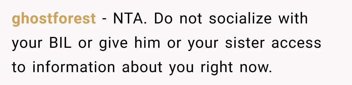 Woman Calls Sister’s Husband “A Piece of S__t” After He Defends Her Ex In Divorce ghostforest − NTA. Do not socialize with your BIL or give him or your sister access to information about you right now.