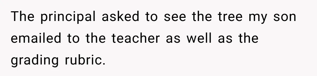 The principal asked to see the tree my son emailed to the teacher as well as the grading rubric.