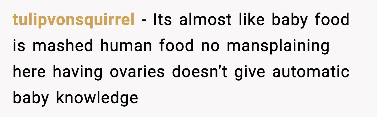Man Defends Parenting Choice After Sister Accuses Him of Mansplaining Breastfeeding tulipvonsquirrel - Its almost like baby food is mashed human food no mansplaining here having ovaries doesn’t give automatic baby knowledge