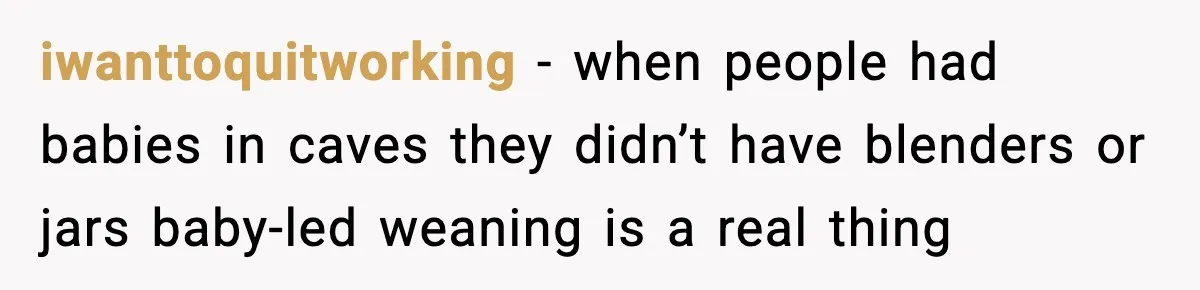 Man Defends Parenting Choice After Sister Accuses Him of Mansplaining Breastfeeding iwanttoquitworking - when people had babies in caves they didn’t have blenders or jars baby-led weaning is a real thing