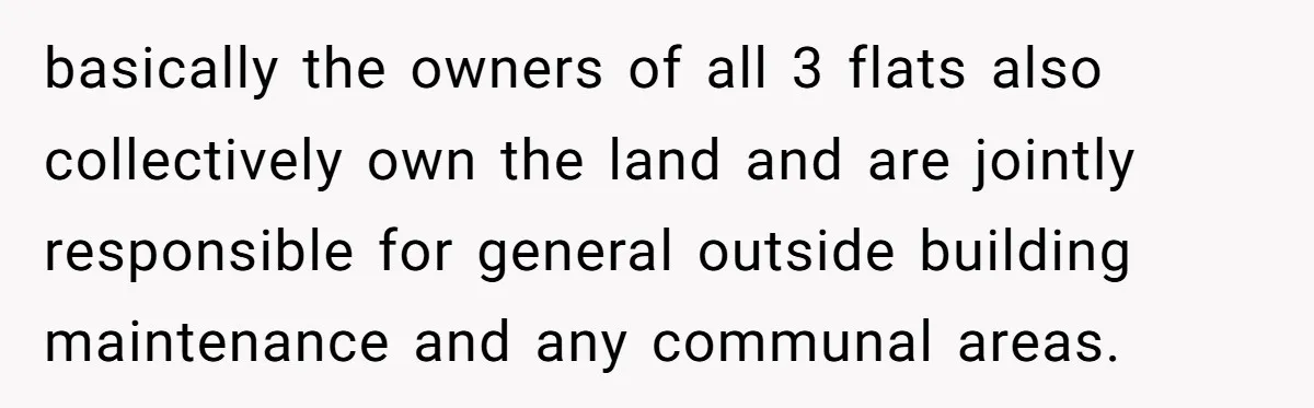 Entitled Parents Demand Access to Private Garden They Do Not Own basically the owners of all 3 flats also collectively own the land and are jointly responsible for general outside building maintenance and any communal areas.