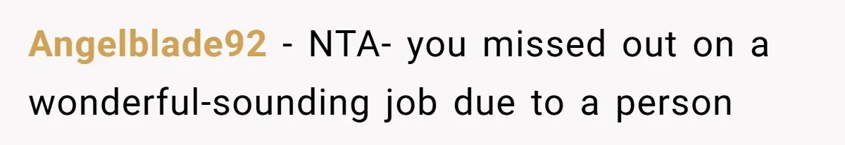 Angelblade92 − NTA- you missed out on a wonderful-sounding job due to a person