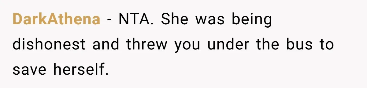 DarkAthena − NTA. She was being dishonest and threw you under the bus to save herself.