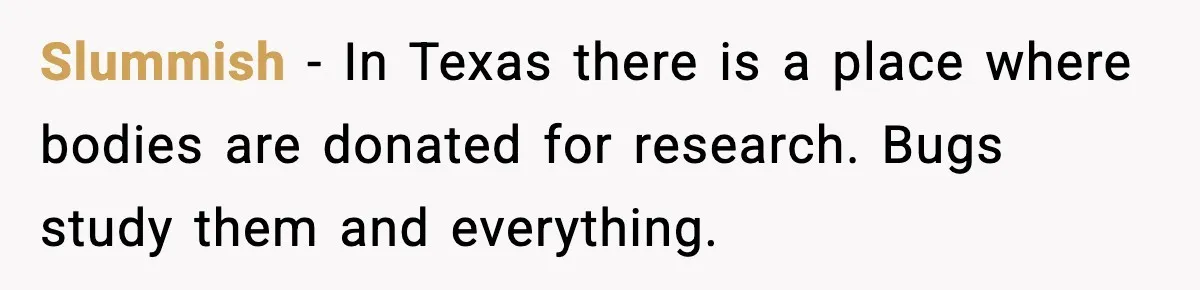 Funeral Home Calls Woman About Ex-MIL’s Death, But She Hasn’t Spoken In 10 Years Slummish - In Texas there is a place where bodies are donated for research. Bugs study them and everything.