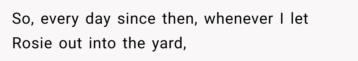 So, every day since then, whenever I let Rosie out into the yard,