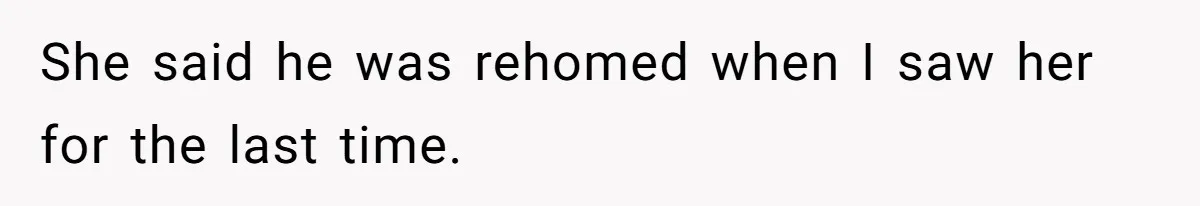 She said he was rehomed when I saw her for the last time.