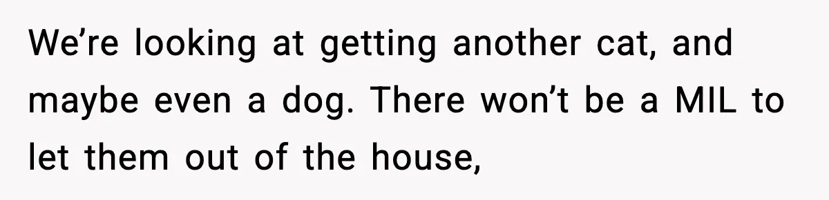 We’re looking at getting another cat, and maybe even a dog. There won’t be a MIL to let them out of the house,