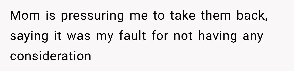 She Kicks Brother Out After He Steals Her Piano, Now Family Calls Her Cruel Mom is pressuring me to take them back, saying it was my fault for not having any consideration