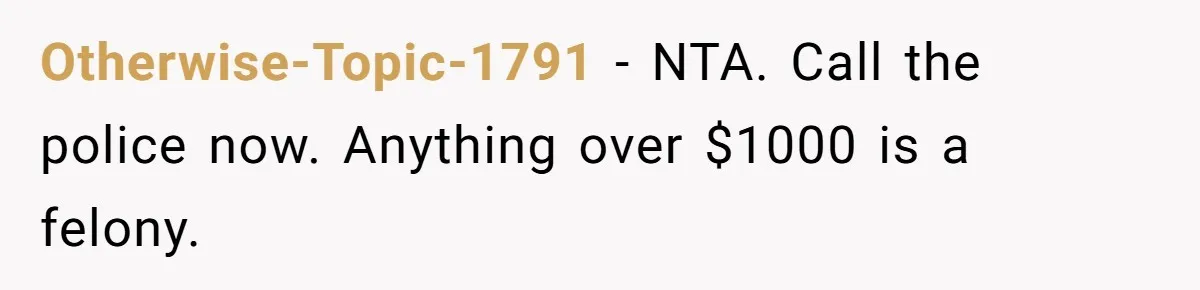 She Kicks Brother Out After He Steals Her Piano, Now Family Calls Her Cruel Otherwise-Topic-1791 − NTA. Call the police now. Anything over $1000 is a felony.