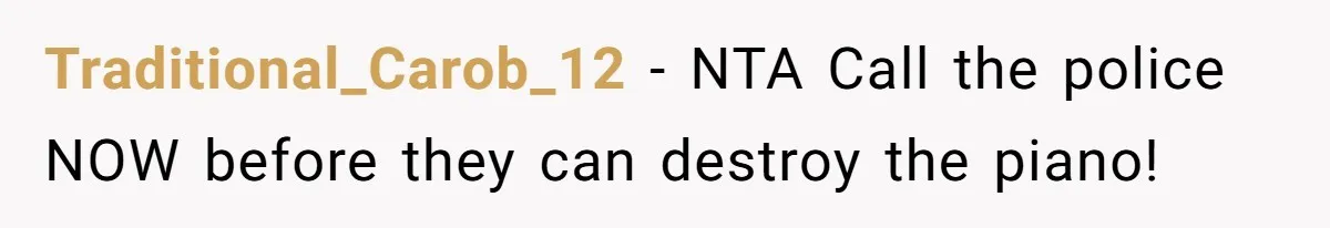 She Kicks Brother Out After He Steals Her Piano, Now Family Calls Her Cruel Traditional_Carob_12 − NTA Call the police NOW before they can destroy the piano!