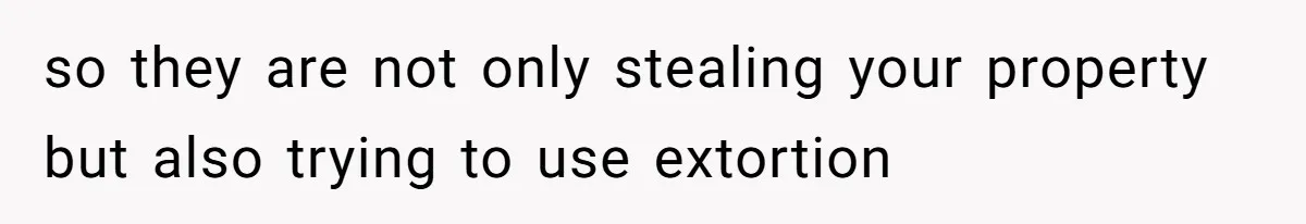 She Kicks Brother Out After He Steals Her Piano, Now Family Calls Her Cruel so they are not only stealing your property but also trying to use extortion