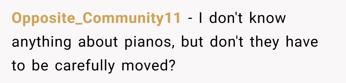She Kicks Brother Out After He Steals Her Piano, Now Family Calls Her Cruel Opposite_Community11 − I don't know anything about pianos, but don't they have to be carefully moved?