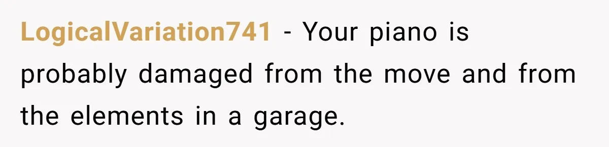 She Kicks Brother Out After He Steals Her Piano, Now Family Calls Her Cruel LogicalVariation741 − Your piano is probably damaged from the move and from the elements in a garage.