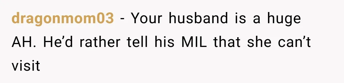 Family Can’t Agree Where Grandma Should Sleep, Son Refuses To Compromise dragonmom03 − Your husband is a huge AH. He’d rather tell his MIL that she can’t visit