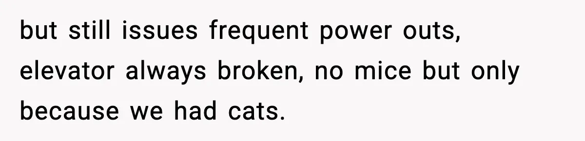 Woman Gets Frustrated With Boyfriend Complaining About Her Budget Apartment And Calls Him Out For Being Out Of Touch but still issues frequent power outs, elevator always broken, no mice but only because we had cats.