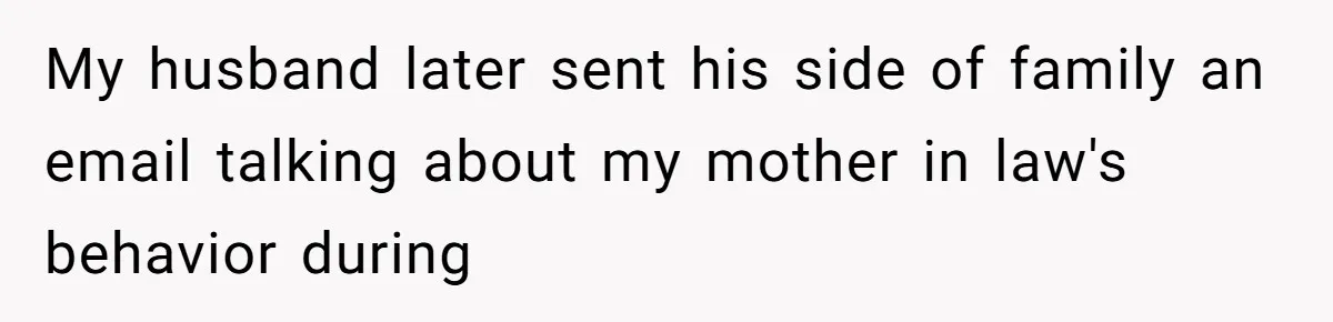 My husband later sent his side of family an email talking about my mother in law's behavior during