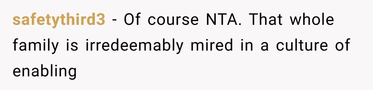 safetythird3 − Of course NTA. That whole family is irredeemably mired in a culture of enabling