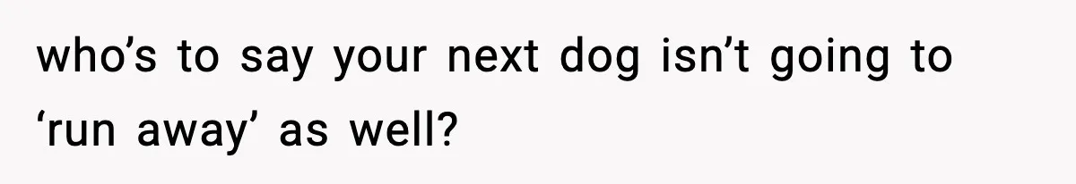 who’s to say your next dog isn’t going to ‘run away’ as well?