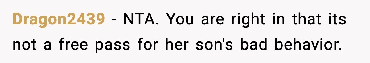 Mom Calls Nephew A Spoiled Brat After He Tries To Push Birthday Cake Off The Table Dragon2439 − NTA. You are right in that its not a free pass for her son's bad behavior.