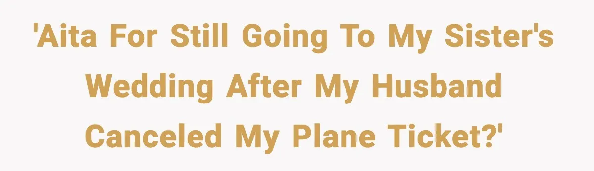 'AITA for still going to my sister's wedding after my husband canceled my plane ticket?'