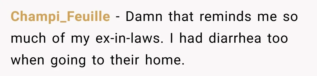 Girlfriend Uses A Bathroom Trick To Avoid Smells, Boyfriend’s Dad Wakes Everyone In A Panic Champi_Feuille − Damn that reminds me so much of my ex-in-laws. I had diarrhea too when going to their home.