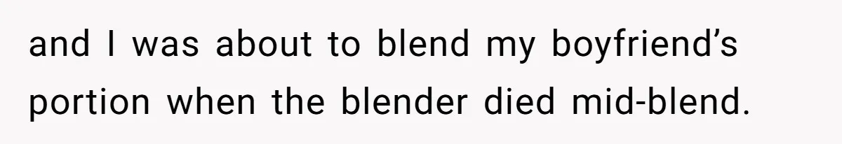 Girlfriend Secretly Fixes Boyfriend’s Diet for Months, Now He Calls Her A Controlling Villain and I was about to blend my boyfriend’s portion when the blender died mid-blend.