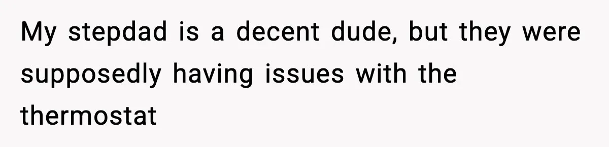 My stepdad is a decent dude, but they were supposedly having issues with the thermostat