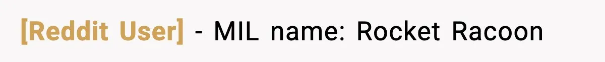 [Reddit User] - MIL name: Rocket Racoon