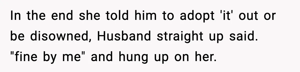 In the end she told him to adopt 'it' out or be disowned, Husband straight up said. "fine by me" and hung up on her.