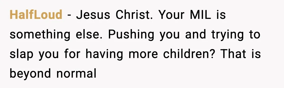 HalfLoud - Jesus Christ. Your MIL is something else. Pushing you and trying to slap you for having more children? That is beyond normal
