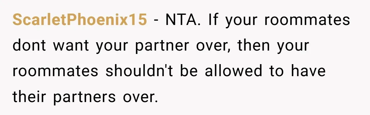 Roommates Ban One Man’s Boyfriend From Visiting, But Everyone Else’s Partner Is Fine ScarletPhoenix15 − NTA. If your roommates dont want your partner over, then your roommates shouldn't be allowed to have their partners over.
