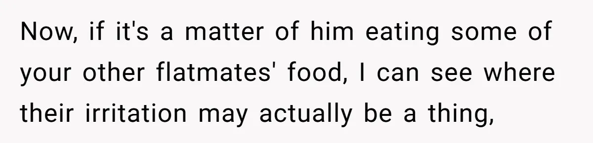 Roommates Ban One Man’s Boyfriend From Visiting, But Everyone Else’s Partner Is Fine Now, if it's a matter of him eating some of your other flatmates' food, I can see where their irritation may actually be a thing,