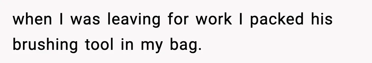 Babysitter Refuses To Return After Mom Fires Him For Brushing Dog, Then Begs Him To Come Back when I was leaving for work I packed his brushing tool in my bag.