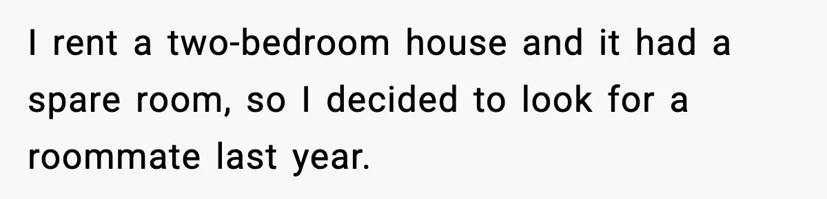 I rent a two-bedroom house and it had a spare room, so I decided to look for a roommate last year.