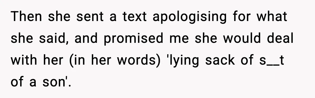 Man Lies To His Mum About Breakup, So His Ex Sends Proof Of His Affairs Then she sent a text apologising for what she said, and promised me she would deal with her (in her words) 'lying sack of s__t of a son'.