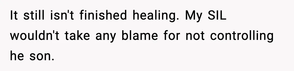 It still isn't finished healing. My SIL wouldn't take any blame for not controlling he son.