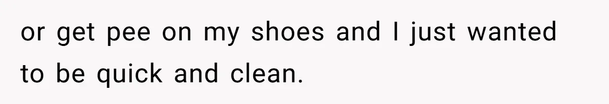 or get pee on my shoes and I just wanted to be quick and clean.