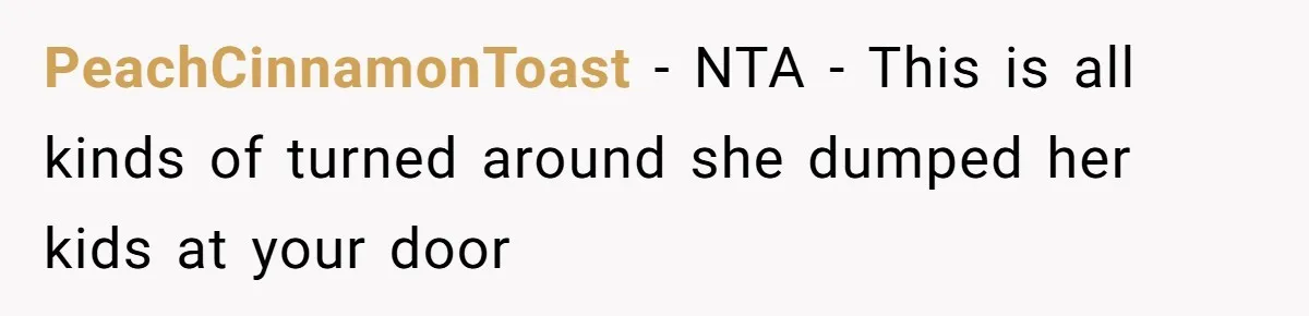 Woman Refuses To Skip Exam For Babysitting, Sister Calls Her Irresponsible For Using Daycare PeachCinnamonToast − NTA - This is all kinds of turned around she dumped her kids at your door