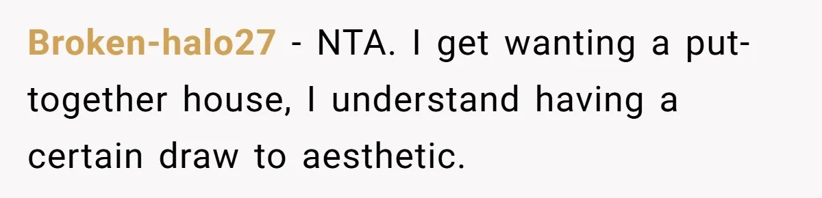 Broken-halo27 − NTA. I get wanting a put-together house, I understand having a certain draw to aesthetic.