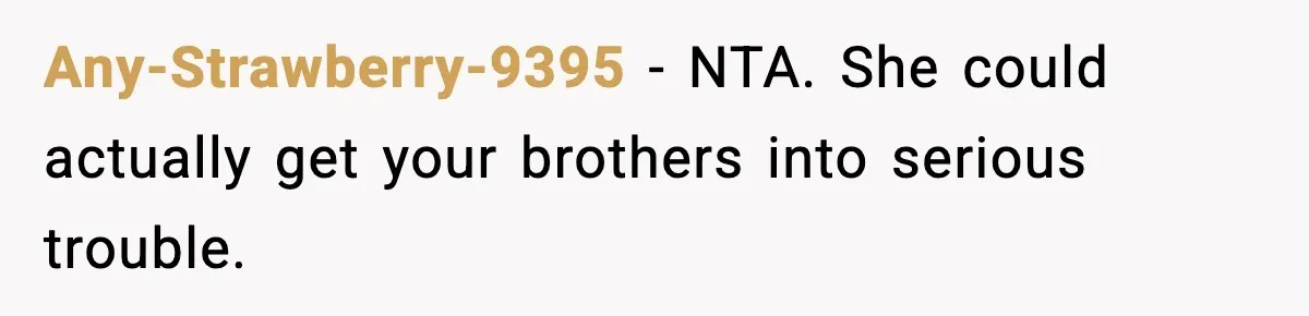 Any-Strawberry-9395 - NTA. She could actually get your brothers into serious trouble.